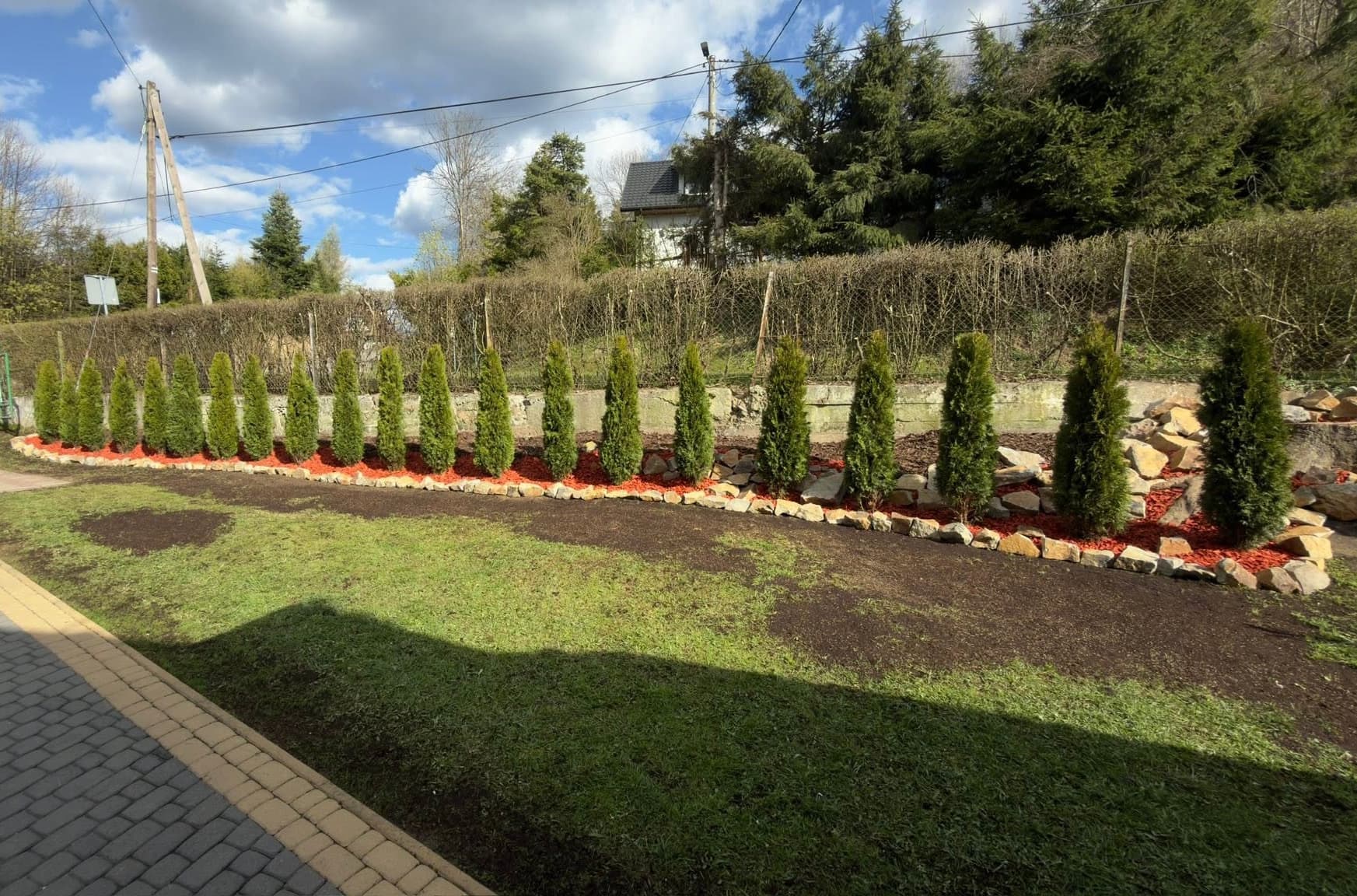 Tło BiesGarden