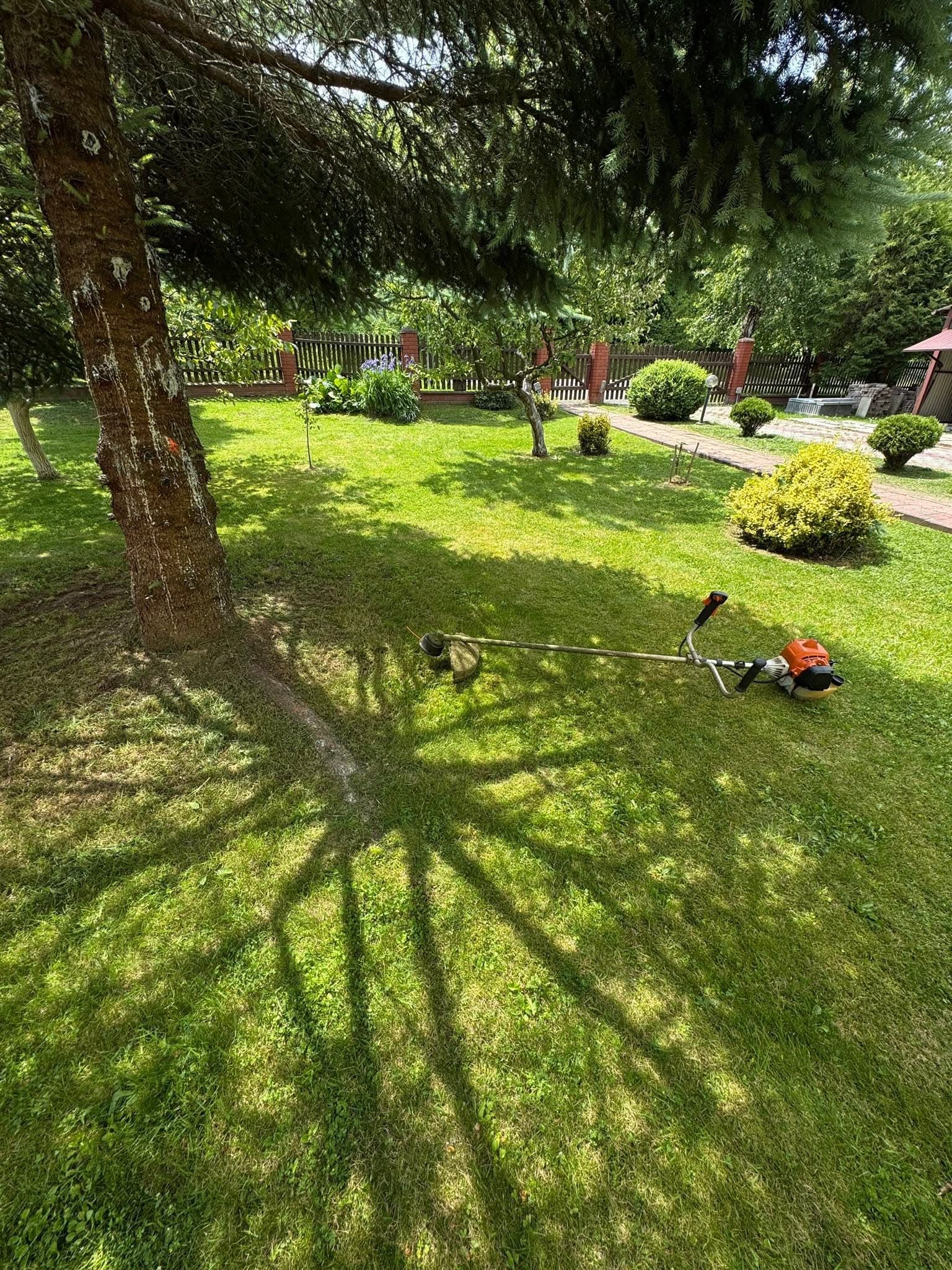 Tło BiesGarden